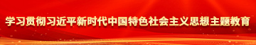 骚17c学习贯彻习近平新时代中国特色社会主义思想主题教育